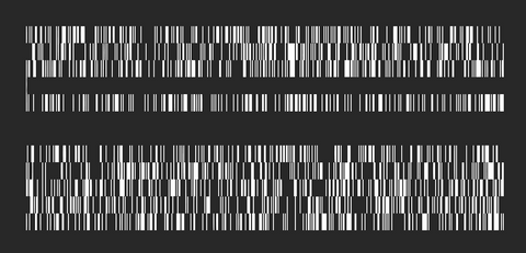 „Data Sapiens“ - muzika apie evoliuciją