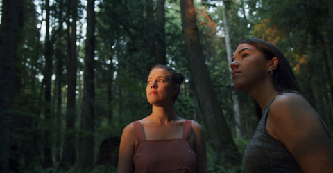 Čiurlionis’ In the Forest anew