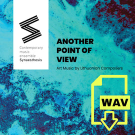 Contemporary music ensemble Synaesthesis. Another Point of View