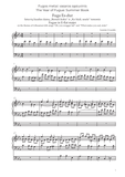 The Year of Fugue: Summer Book