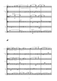Preliudas ir tokata