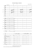 Concerto for flute and orchestra No. 1
